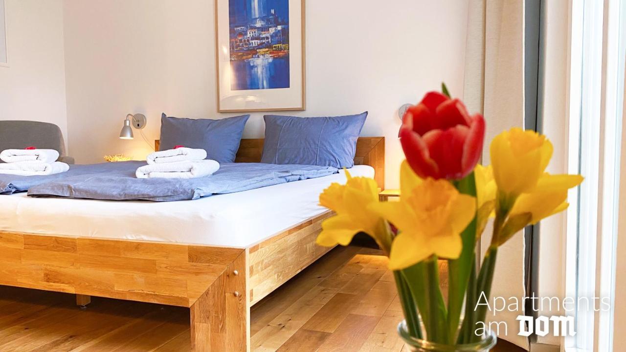 Apartments Am Dom Наумбург Екстер'єр фото